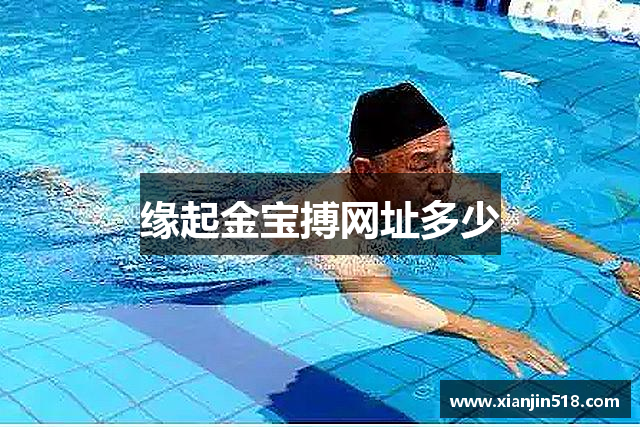 缘起金宝搏网址多少